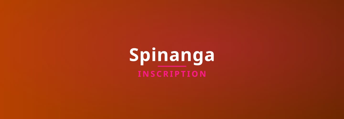 spinanga account registration