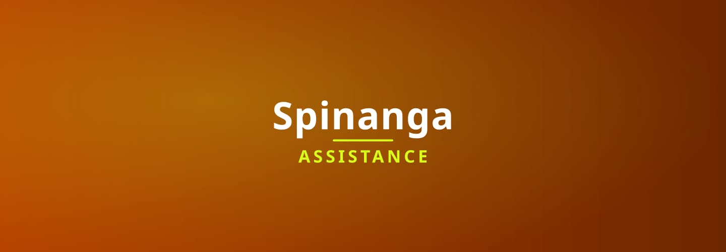 spinanga customer support
